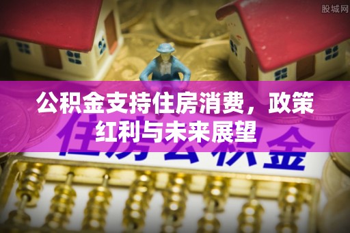 无极公积金支持住房消费，政策红利与未来展望